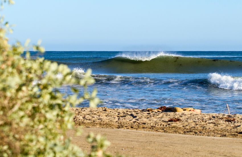 A frame wave at Lower-Trestles California