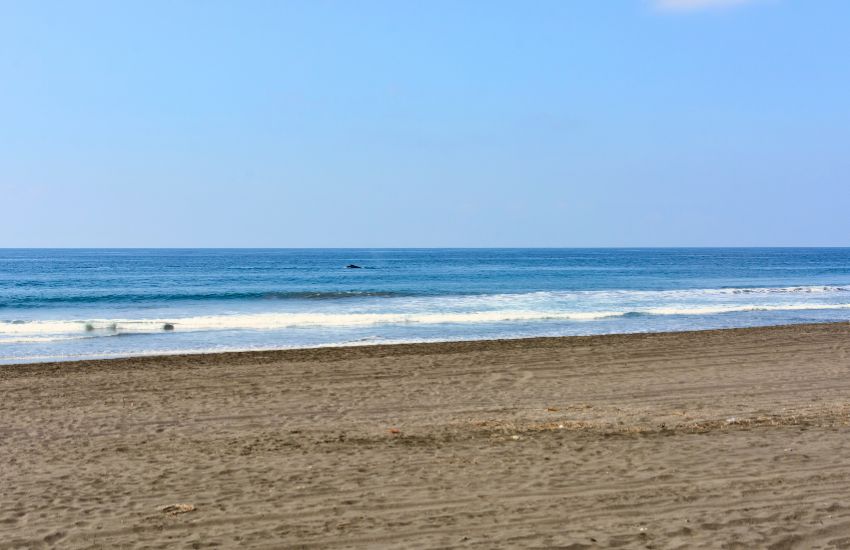 cuyutlan beach surf spot in colima mexico
