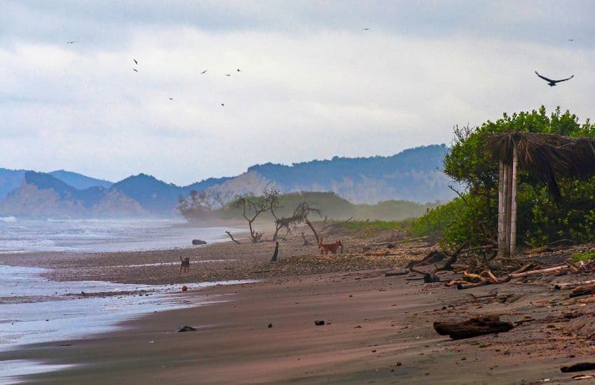 Ayampe ecuador surfspot