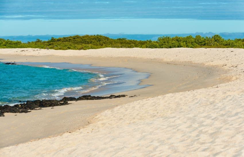 Santa Cruz Island Beach Ecuador