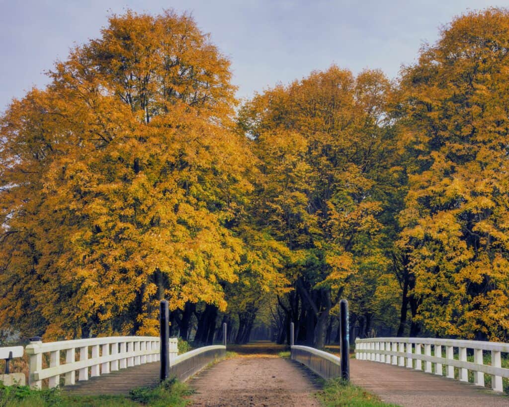 Amsterdamse Bos