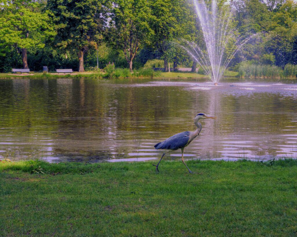 Vondelpark in Amsterdam