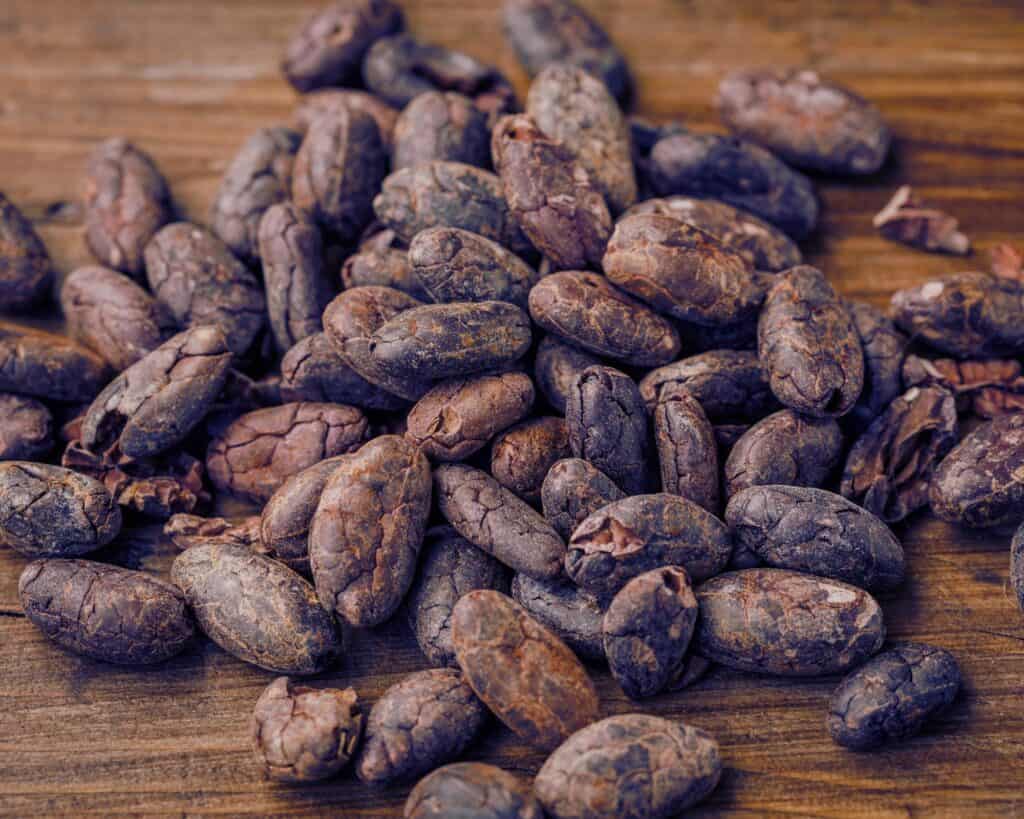 cocoa beans