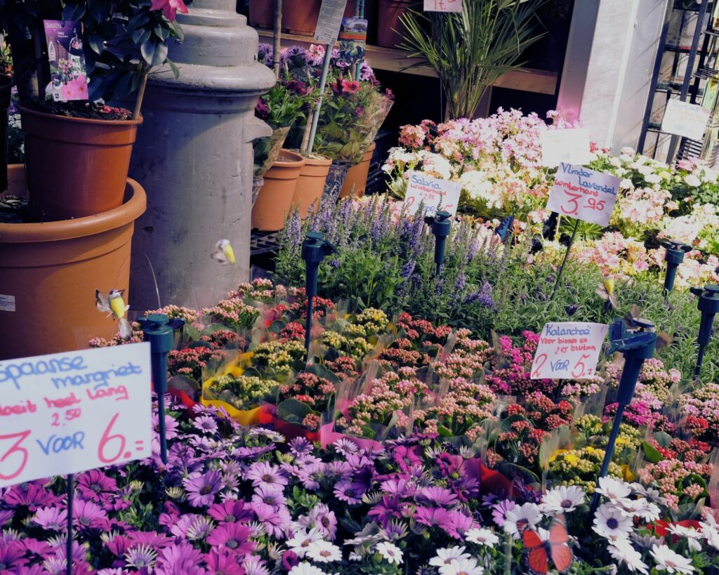 Flower Market in Amsterdam