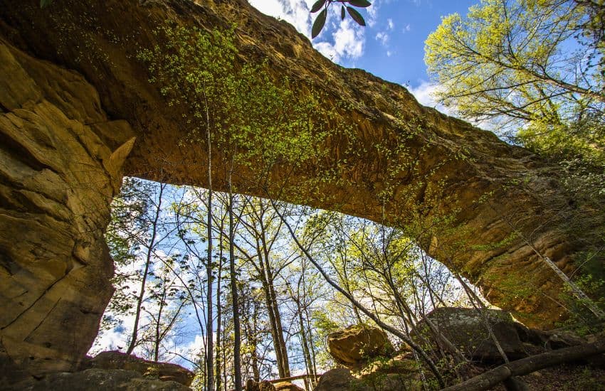 Creelsboro Natural Bridge Kentucky